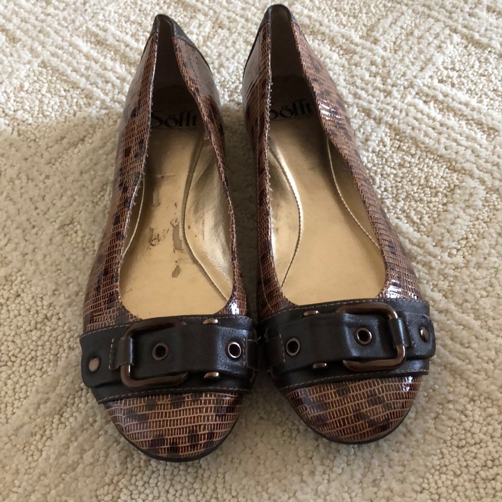 Cheetah flats
